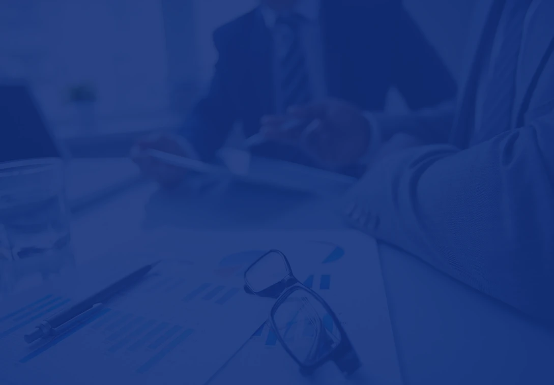 Professional accounting consultation between advisor and client